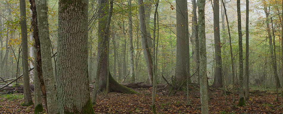 empresa-imagen-mitad1